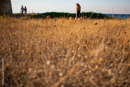 field