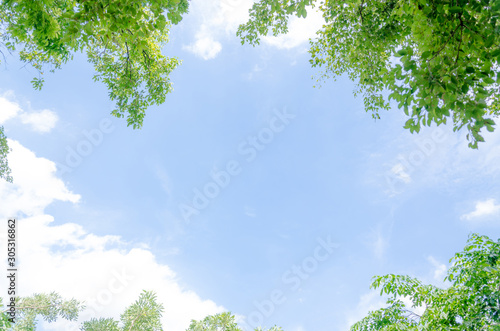 Leaf frame on blue sky background