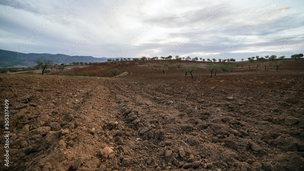Fototapeta premium Campo labrado recientemente