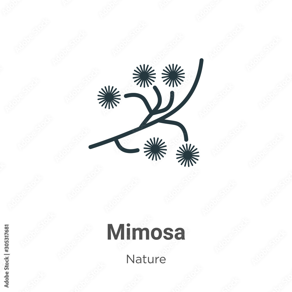 Naklejka premium Mimosa vector icon on white background. Flat vector mimosa icon symbol sign from modern nature collection for mobile concept and web apps design.