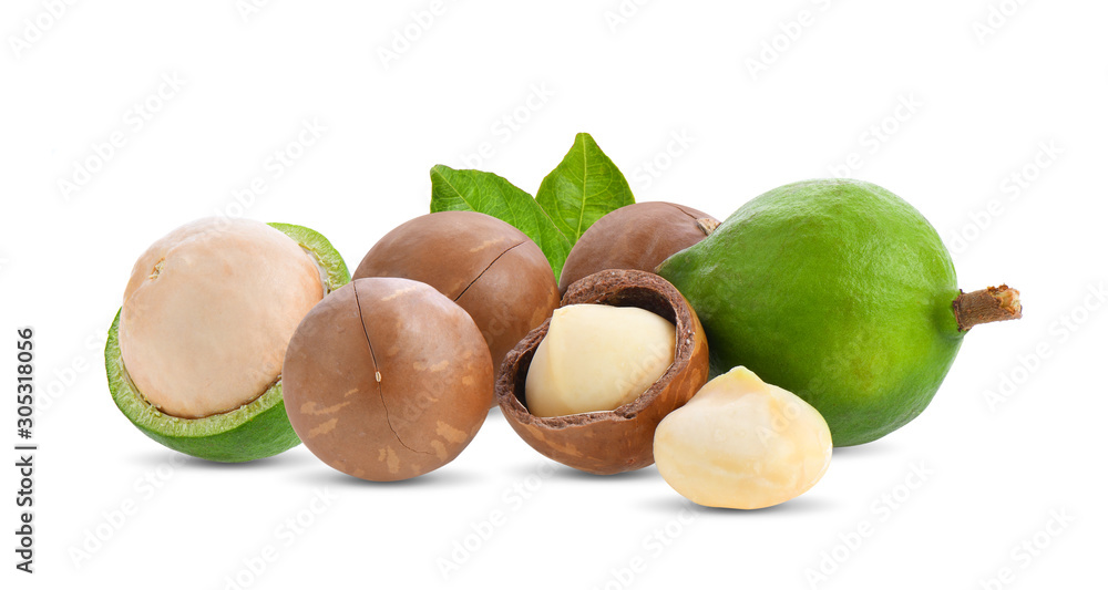 macadamia nuts with leaf isolated on white background. macadamia nuts with leaf isolated on white background.