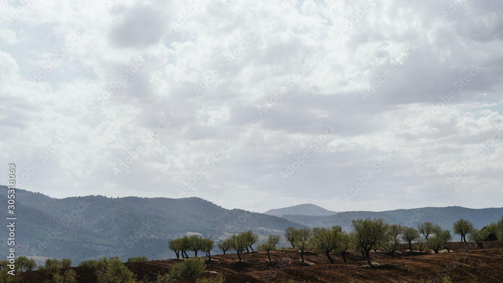 Campo de almendros recien labrado con nubes Campo de almendros recien labrado con nubes