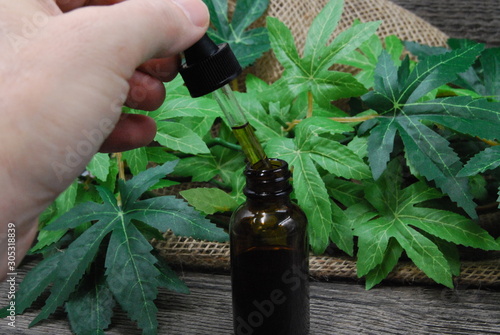 Taking a dose of CBD oil photo