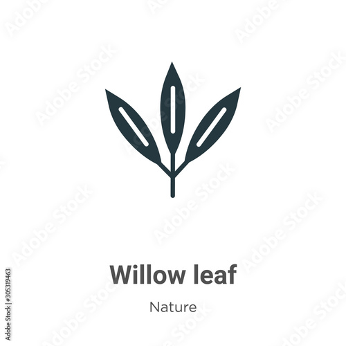 Willow leaf vector icon on white background. Flat vector willow leaf icon symbol sign from modern nature collection for mobile concept and web apps design.