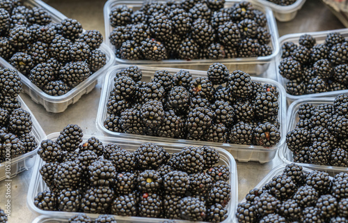 Juicy blackberries in the basket