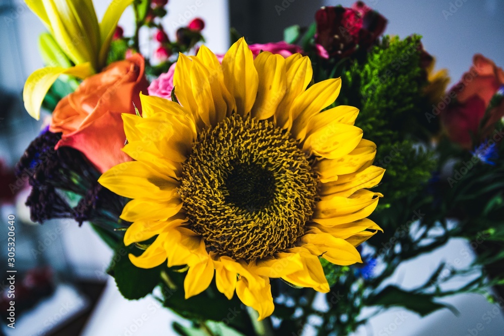Obraz premium sunflower and roses bouquet 