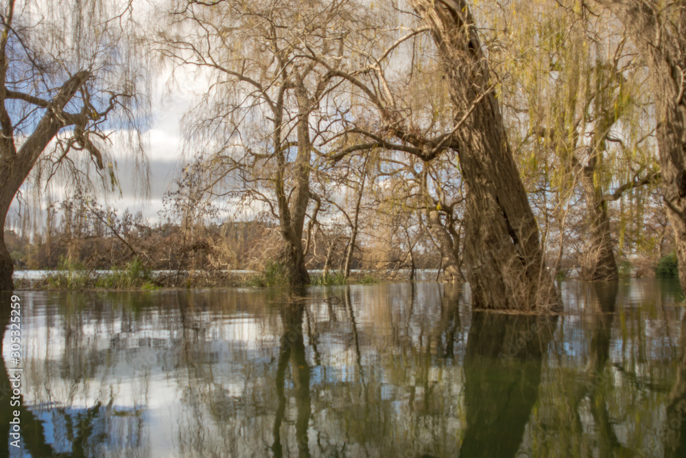 inundado