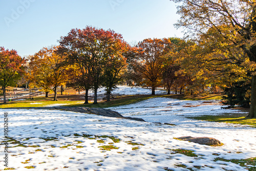 central park em manhattan no outono photo