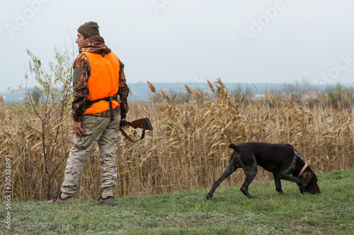 Hunting period, autumn season open. A hunter with a gun in his hands in hunting clothes in the autumn forest in search of a trophy. A man stands with weapons and hunting dogs tracking down the game.