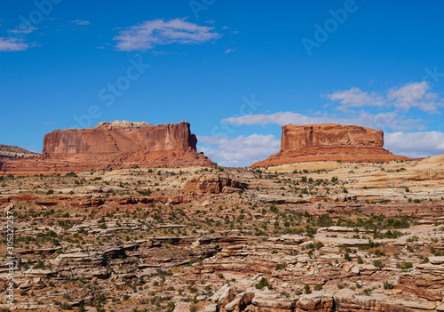 Wallpaper Mural Large red rock sentinels quietly watch over the road to Canyonlands National Park. Torontodigital.ca