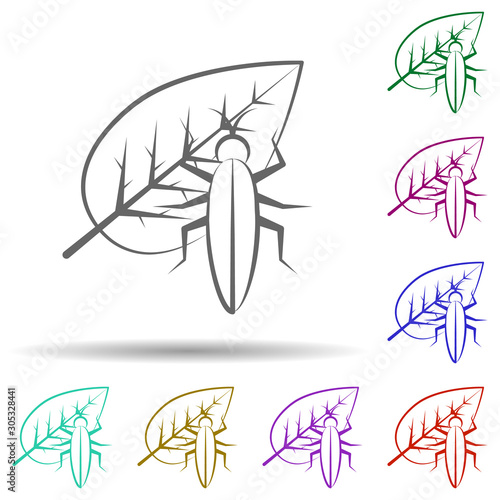 Insect, entomology, leaf in multi color style icon. Simple thin line, outline vector of biology icons for ui and ux, website or mobile application
