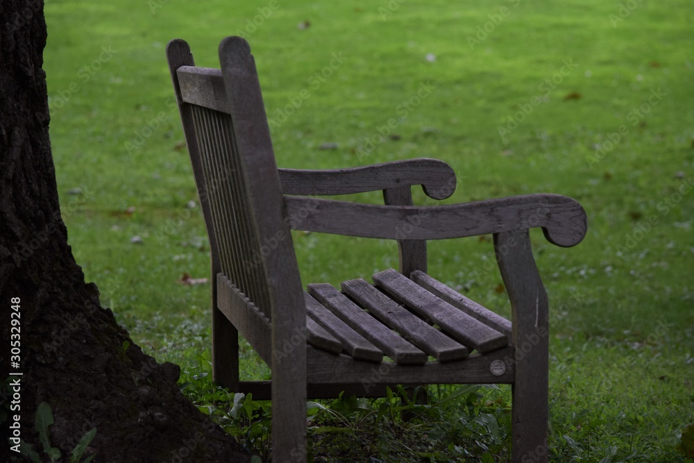 wooden bench in park