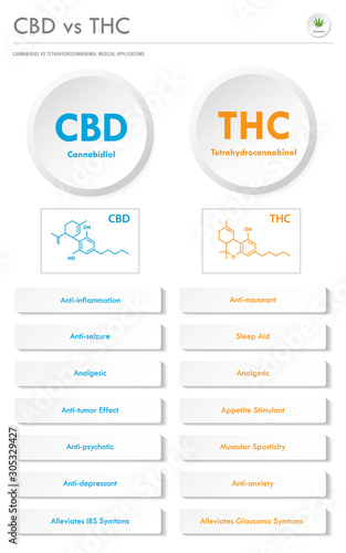 CBD vs THC Medical Applications vertical business infographic illustration about cannabis as herbal alternative medicine and chemical therapy, healthcare and medical science vector.