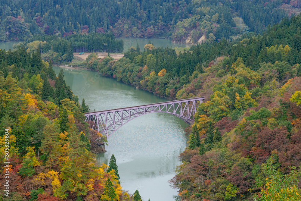 Train crossing the first bridge at Tadami line with surrounding beautiful autumn foliage in Mishima ,Onuma district,Fukushima ,Japan.