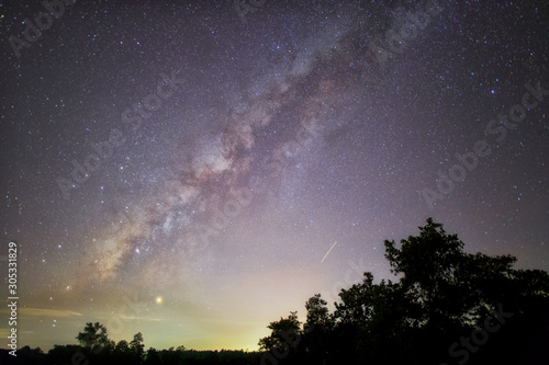 Foreground Tree And Milky Ways Background 
