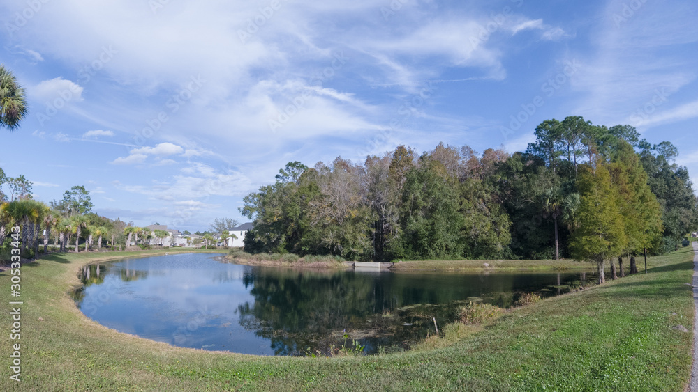 Fall tree leaf and pond