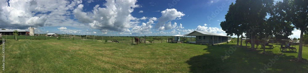 panorama of park in sunny day