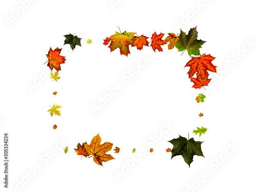 Autumn leaf pattern. Season falling leaves background. Thanksgiving concept