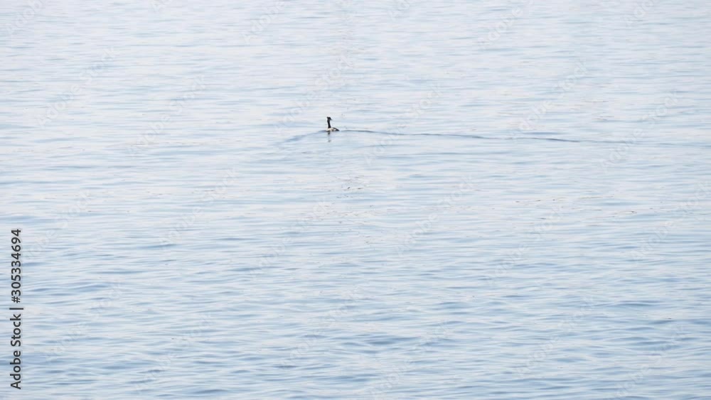 水面 さざ波 木曽川下流域 三重県 日本 水面 さざ波 木曽川下流域 三重県 日本