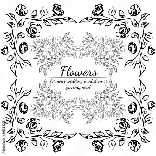 Tropical hand drawn floral frames. Outline set. Jungle foliage illustration. Floral set. Hand drawing. Vector isolated collection. Natural spring wedding card. Summer tropical leaf. Botanical frames