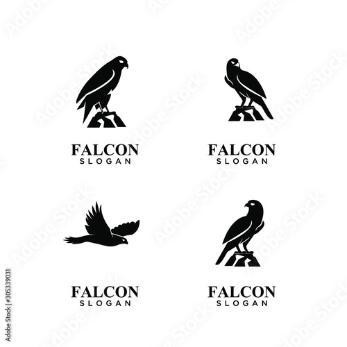 Fotografie, Obraz set of falcon black logo icon design vector illustration