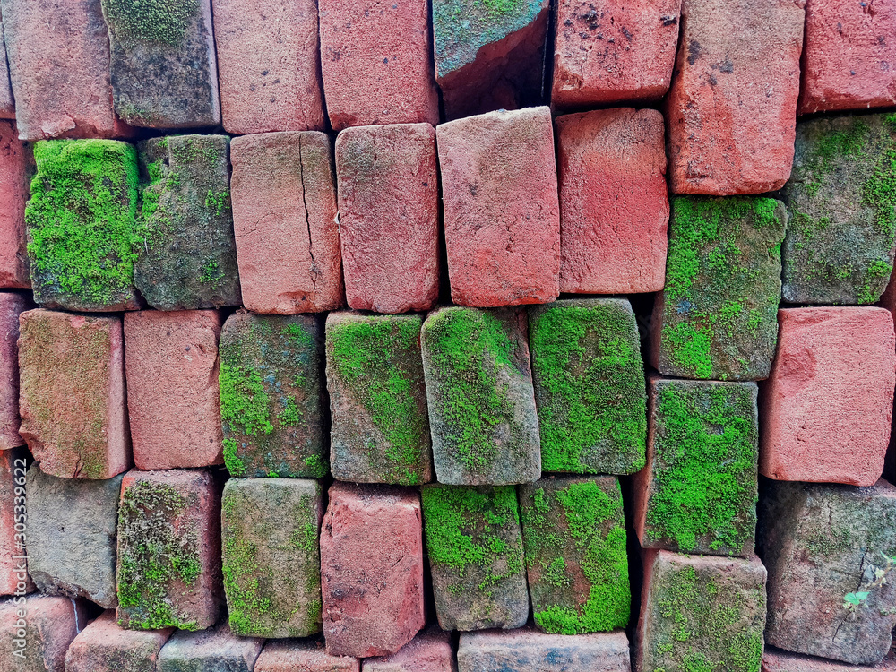 Brick wall with moss growing out of it, close up Brick wall with moss growing out of it, close up
