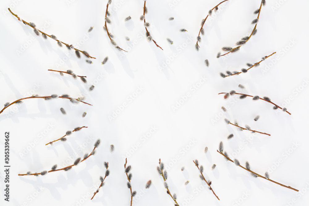 Willow branches with fluffy earrings on a white wooden texture background, spring background, banner, place for text, copy space Willow branches with fluffy earrings on a white wooden texture background, spring background, banner, place for text, copy space