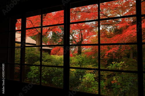 紅葉の一ノ倉邸