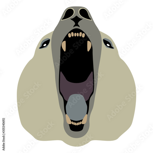 Stylized head or roaring polar bear. Flat cartoon style. Isolated vector illustration.