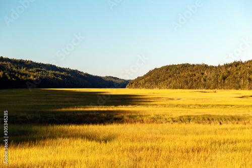 Fototapeta Naklejka Na Ścianę i Meble -  View on field in sunset, New Brunswick
