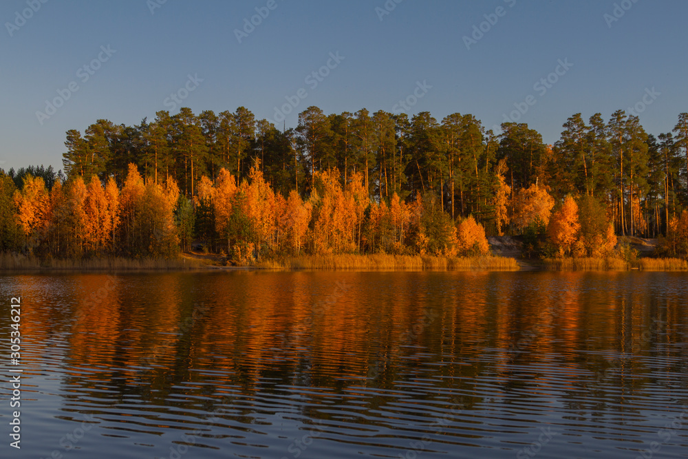picturesque scene of fall forest on the lake shore in the rays of sunset. Orange yellow bright paints autumn picturesque scene of fall forest on the lake shore in the rays of sunset. Orange yellow bright paints autumn