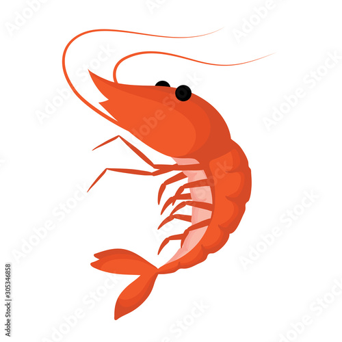 isolated orange shrimp on white background