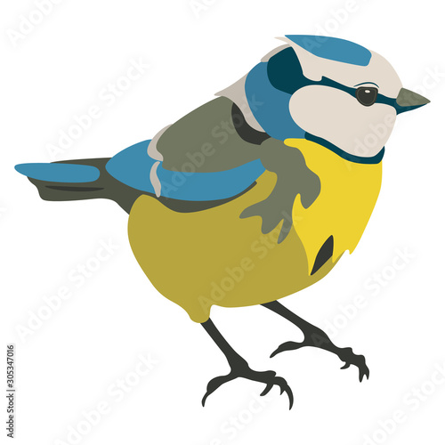 Eurasian blue tit bird. Cyanistes caeruleus. Flat cartoon style. Isolated vector illustration.
