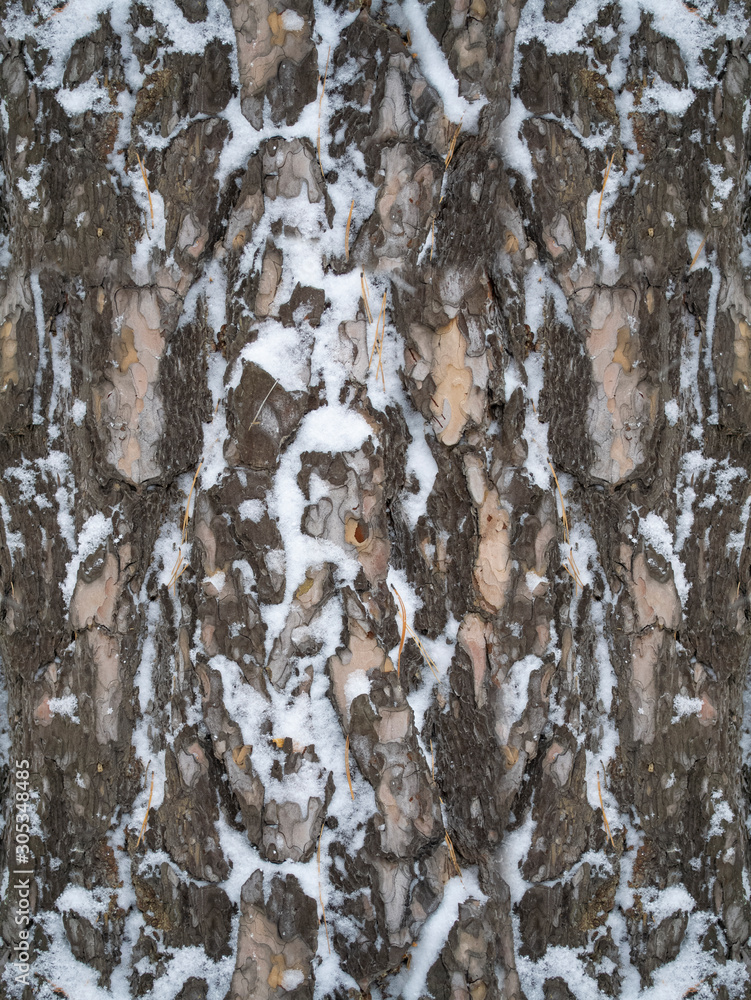 Fototapeta premium Seamless wood bark texture with snow