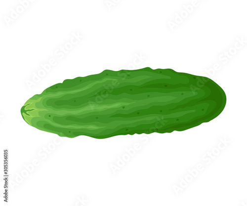 Emerald Green Pimpled Cucumber Plant in Full Length Vector Item