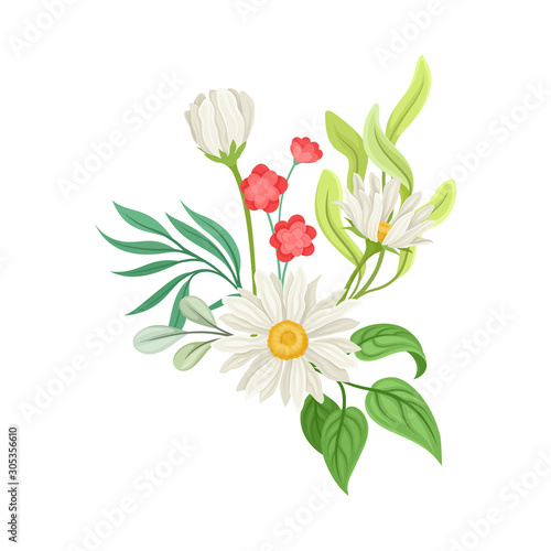 Fototapeta Naklejka Na Ścianę i Meble -  Bouquet of Daisy Flowers Vector Composition. Natural Floral Decoration