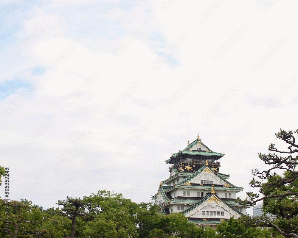 Japanese Castle 