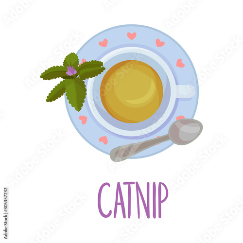 Catnip Tea Served on Saucer Vector Illustration