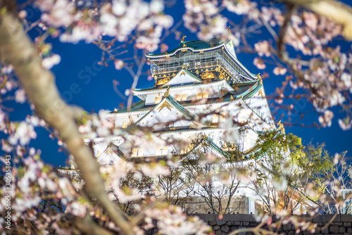 Osaka castle with full bloom cherry blossom beauiful Sakura tree at japan cherry blossom  forecast pink asian flower perfact season to travel and enjoy japanese culture idea long weekend relax © Tony