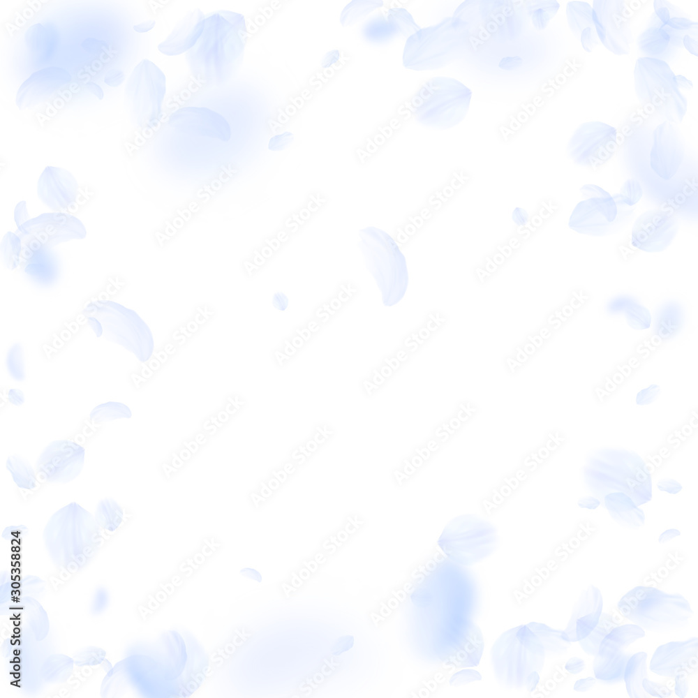 Light blue flower petals falling down. Trending ro