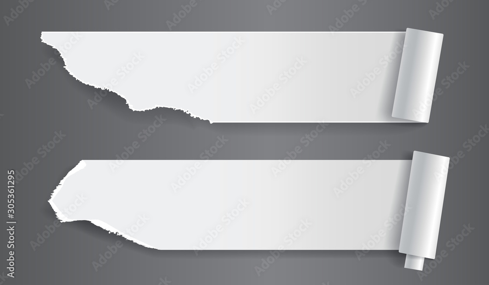 Papers strips with torn edges. Pieces of ripped white paper and soft shadow for web and print. Papers strips with torn edges. Pieces of ripped white paper and soft shadow for web and print.