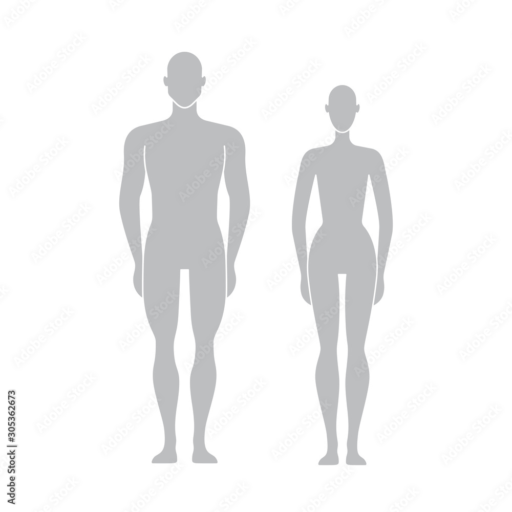 Vector dummy silhouette. Mannequin male and female. Vector dummy silhouette. Mannequin male and female.