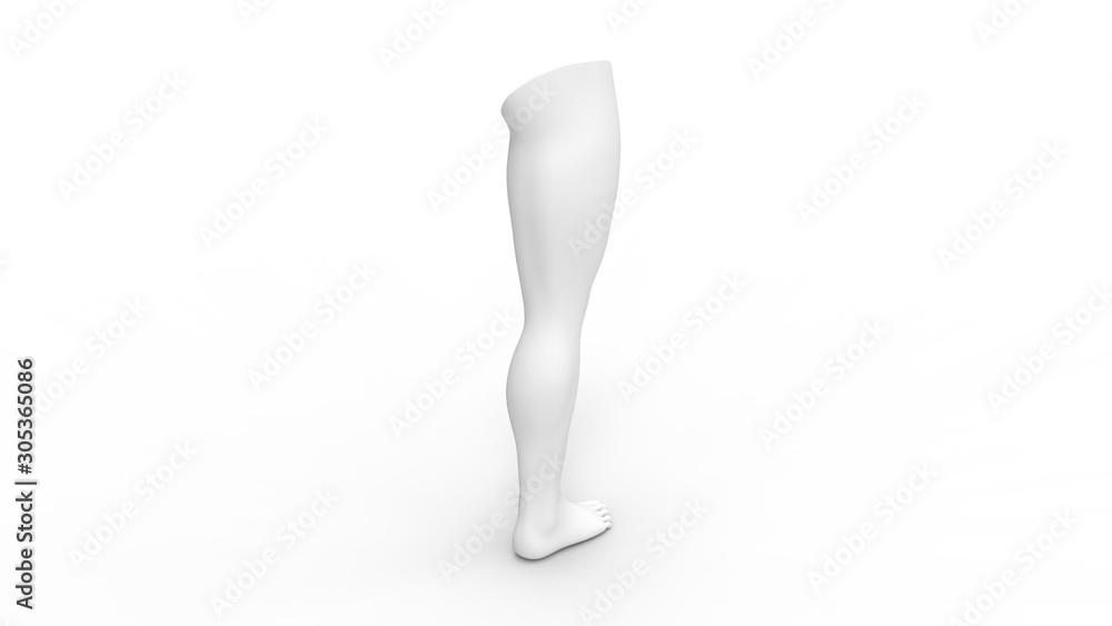 3d rendering of a human leg isolated in studio background 3d rendering of a human leg isolated in studio background