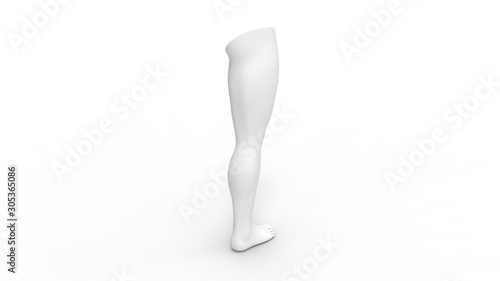 3d rendering of a human leg isolated in studio background