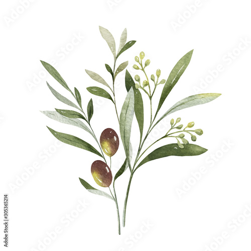 Watercolor vector bouquet of olive branches and flowers.