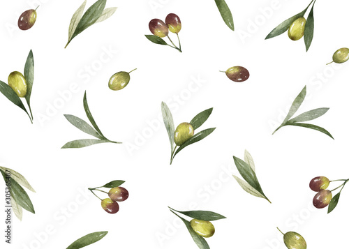 Watercolor vector card of olive branches and leaves.