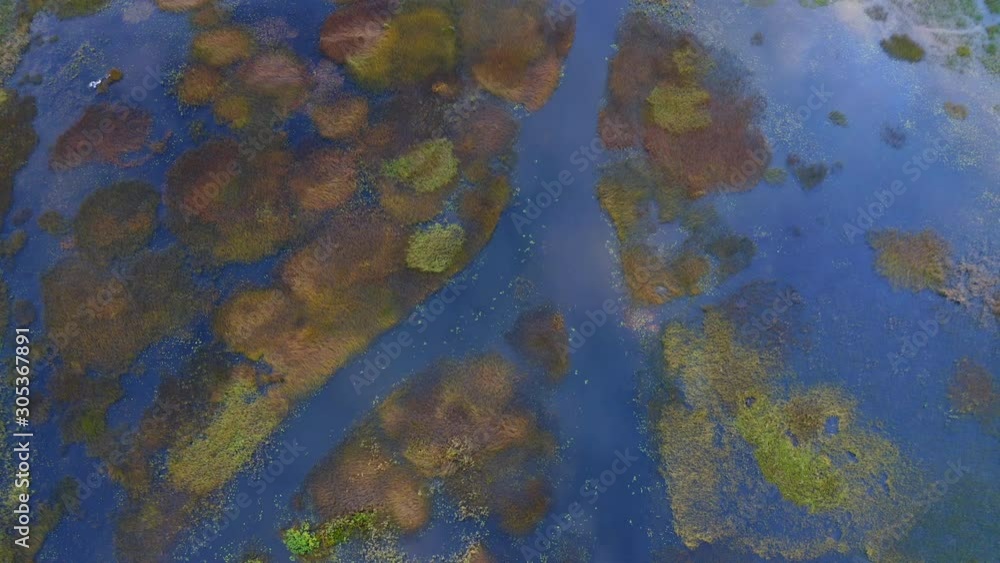 Drone circling slowly above a beautiful colorful swamp with small islets in it. Drone circling slowly above a beautiful colorful swamp with small islets in it.