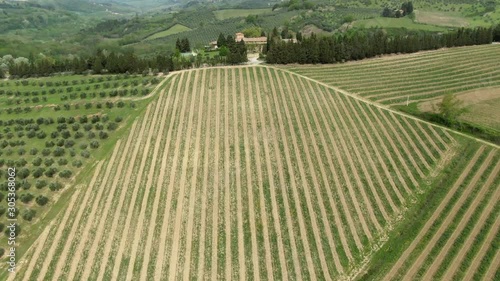 Wine ranks from above on a sunny day in Tuscany, Italy photo