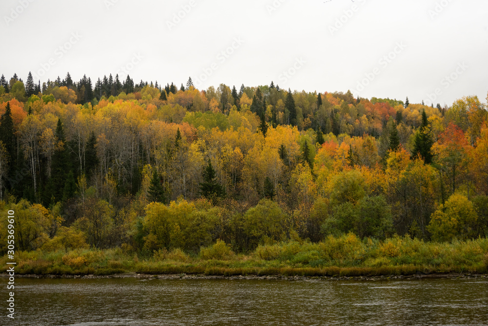 Autumn forest across the river Autumn forest across the river