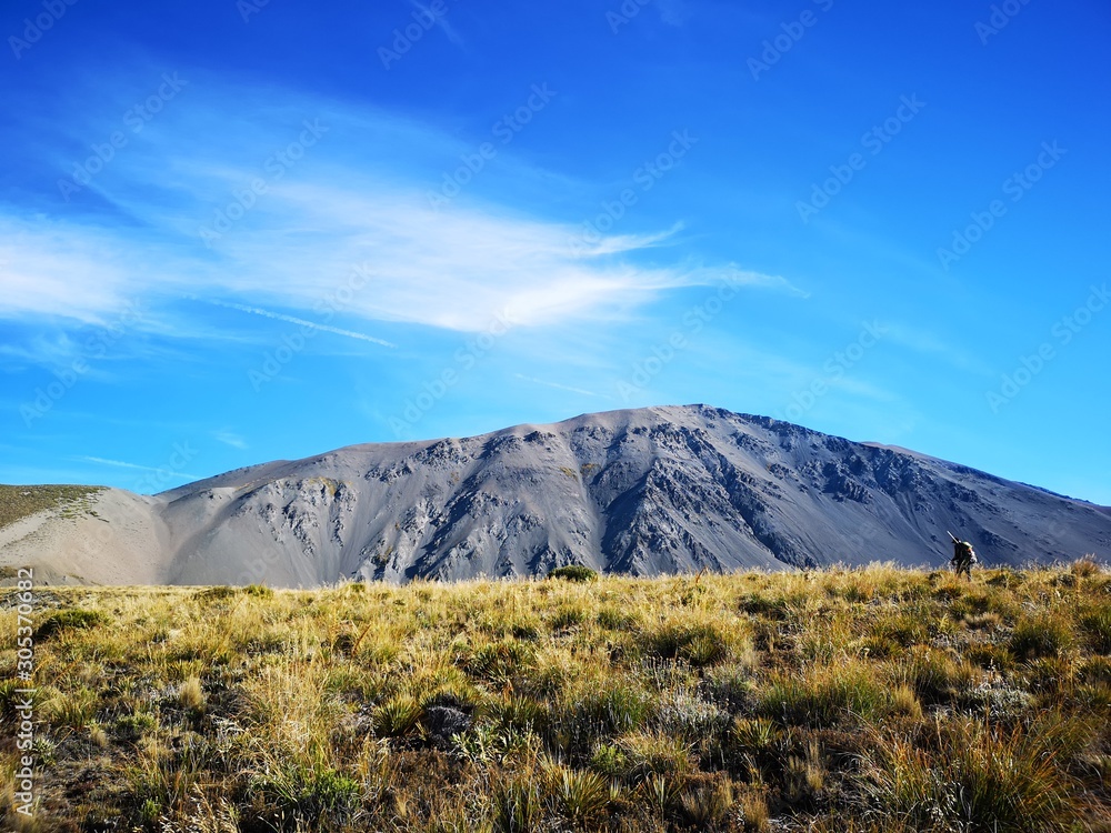 Obraz premium Molesworth Station - New Zealand